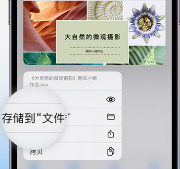 润州apple维修中心分享iPhone文件应用中存储和找到下载文件