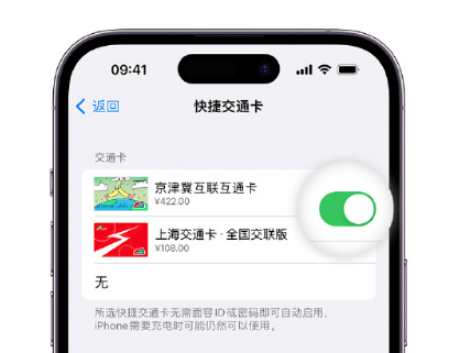 润州apple维修点分享iPhone上更换Apple Pay快捷交通卡手绘卡面 