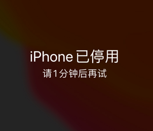 润州苹果手机维修分享:iPhone 显示“不可用”或“已停用”怎么办？还能保留数据吗？ 