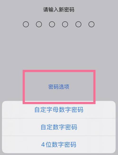 润州苹果14维修分享iPhone 14plus设置密码的方法 