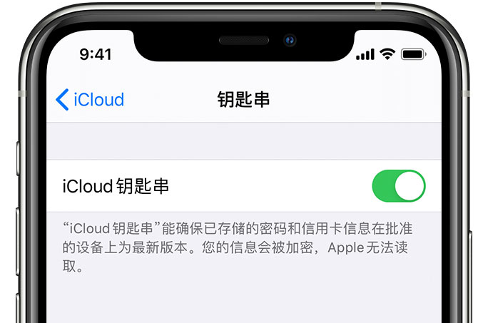 润州苹果手机维修分享在 iPhone 上开启 iCloud 钥匙串之后会储存哪些信息 