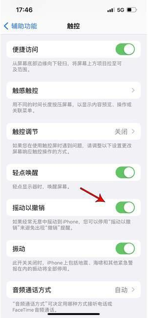 润州苹果手机维修分享iPhone手机如何设置摇一摇删除文字 